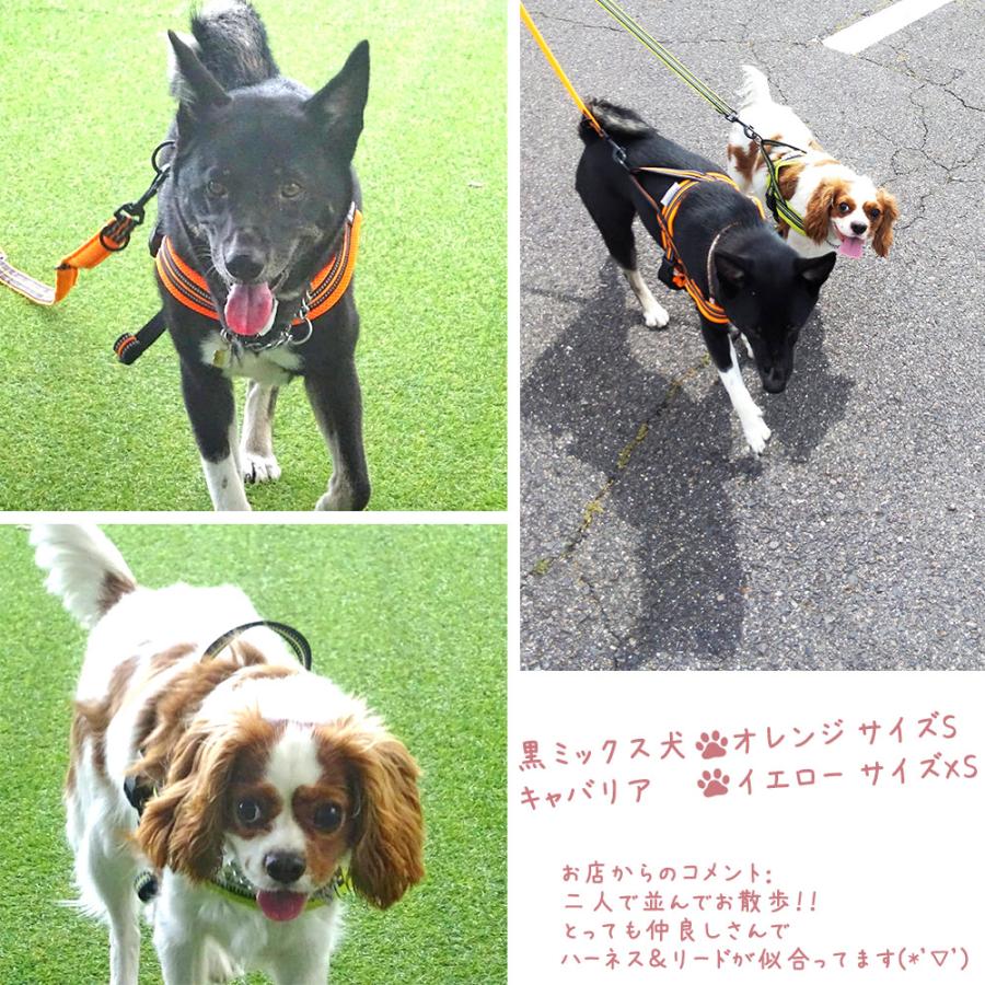 犬 リード おしゃれ かっこいい 小型犬 中型犬 大型犬 Truelove 持ちやすい メッシュ 丈夫 ソフトハンドル 軽量 全11色 110cm スタンダードリード TLL2111 | Truelove | 25