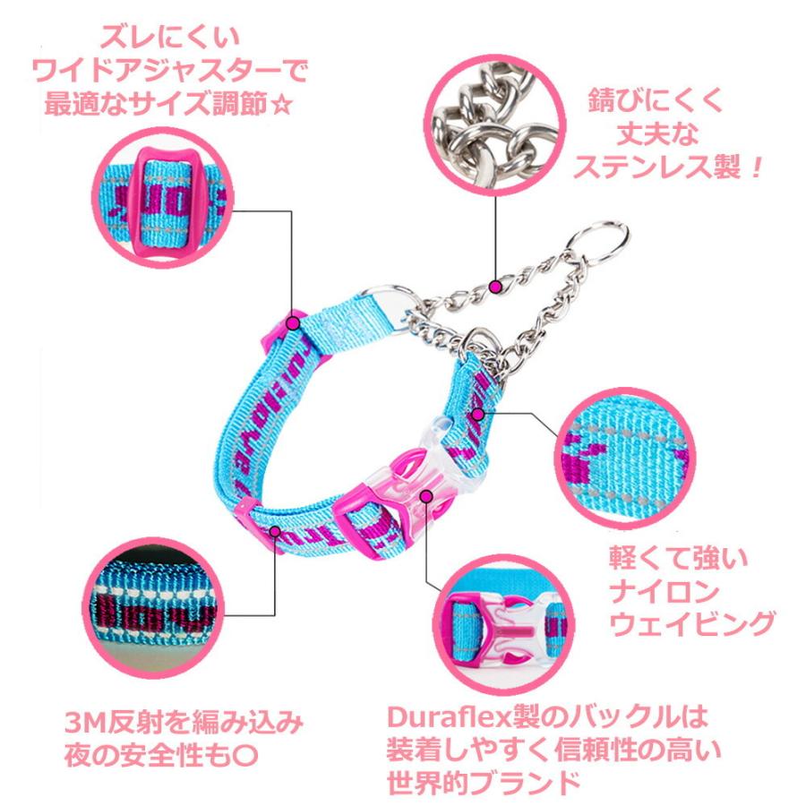 Truelove（トゥルーラブ） 犬 首輪 ハーフチョーク ステンレス