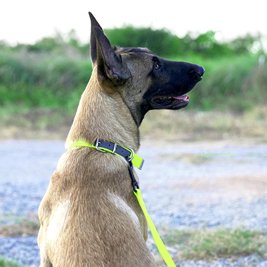 犬 首輪 小型/中型/大型犬用 Truelove ブランド カラフル 防水 雨の日 水遊び 衛生的 耐久力 便利 強化ATBC-PVC カラー｜wanwan-square-garden｜13