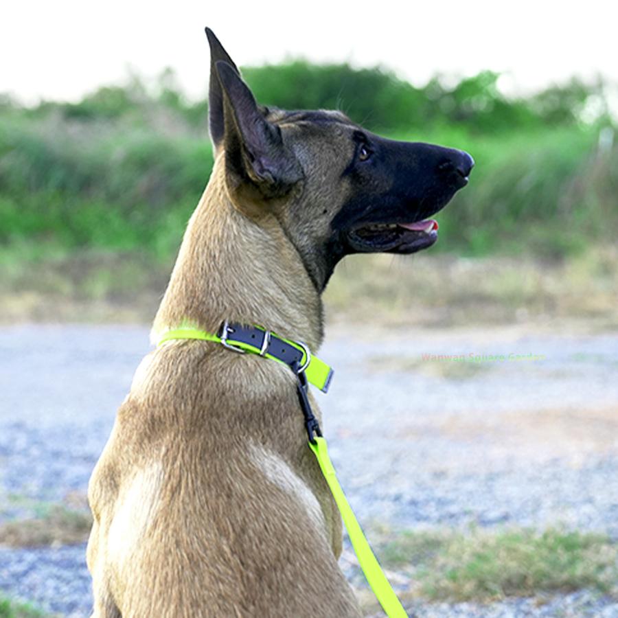 Truelove（トゥルーラブ） 犬 首輪 水や汚れに強い 防水PVC首輪 小型犬