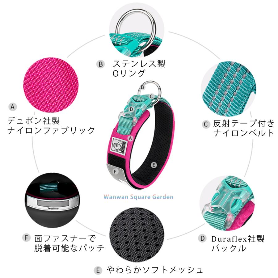 Truelove（トゥルーラブ） 犬 首輪 名入れ 名前 小型 中型 大型犬用