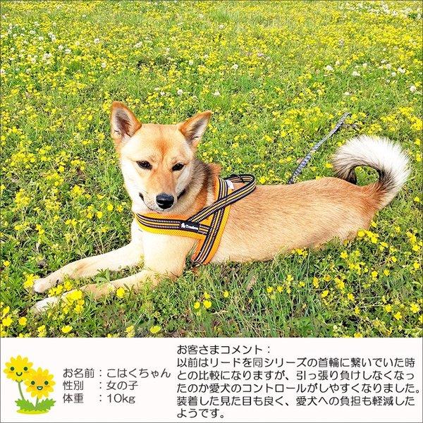犬 ハーネス 負担が少ない おしゃれ かわいい 小型犬 大型犬 胴 犬 ハーネス 負担が少ない おしゃれ かわいい 小型犬 大型犬 胴