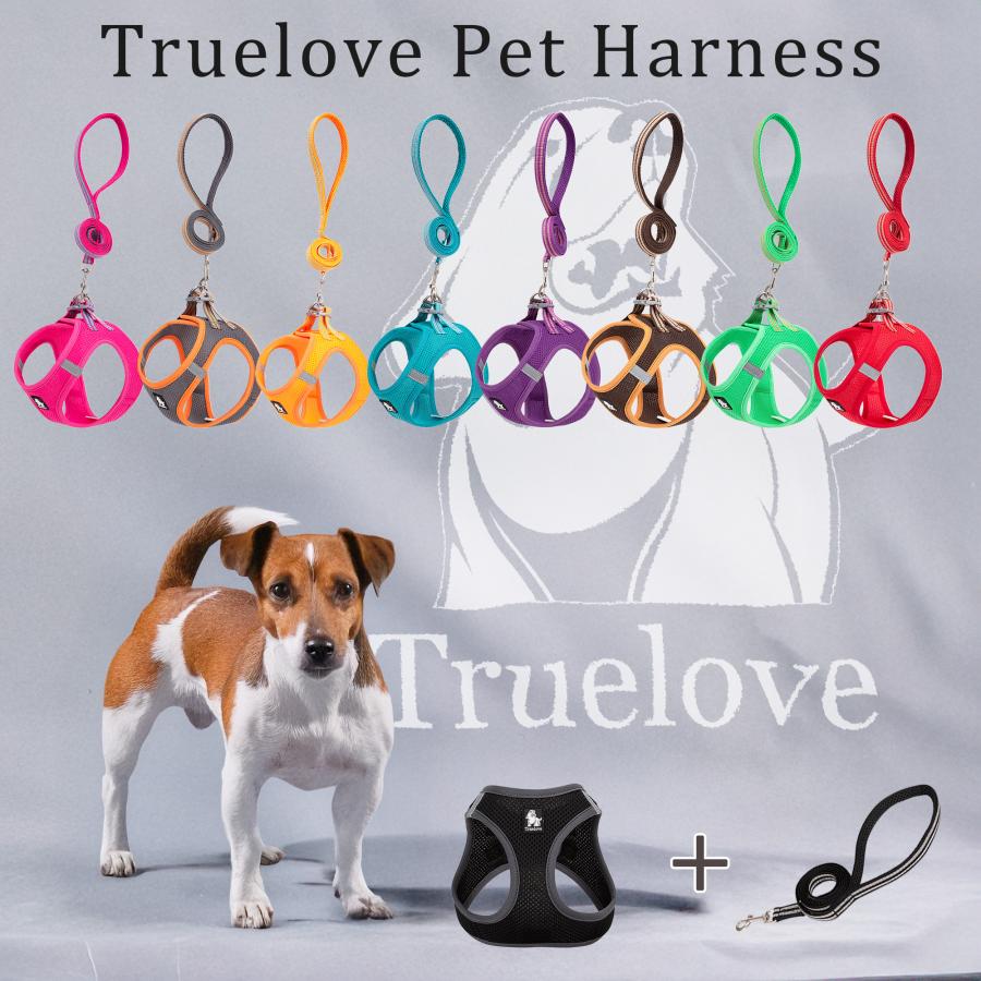 Wonderlove ワンダーラブ 3点セット Wonderlove ワンダーラブ 3点セット