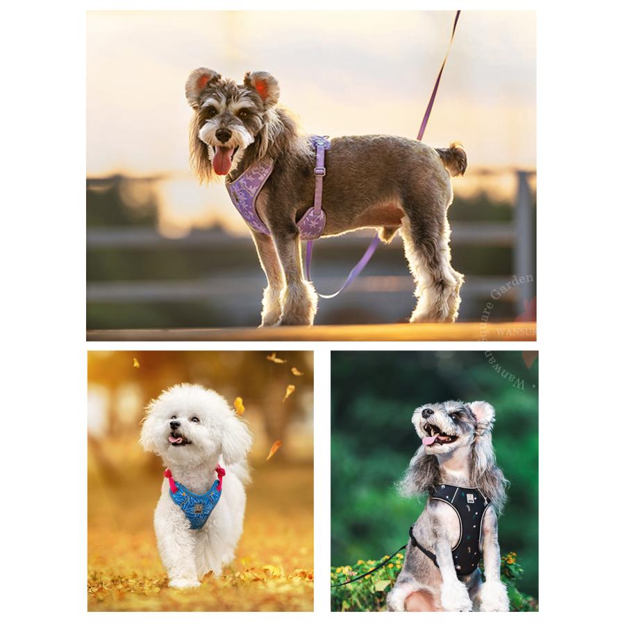 DOG  XSサイズ ハーネス・リードセット Truelove（トゥルーラブ） 犬 ハーネス リードセット 小型犬用 XXXS-XS