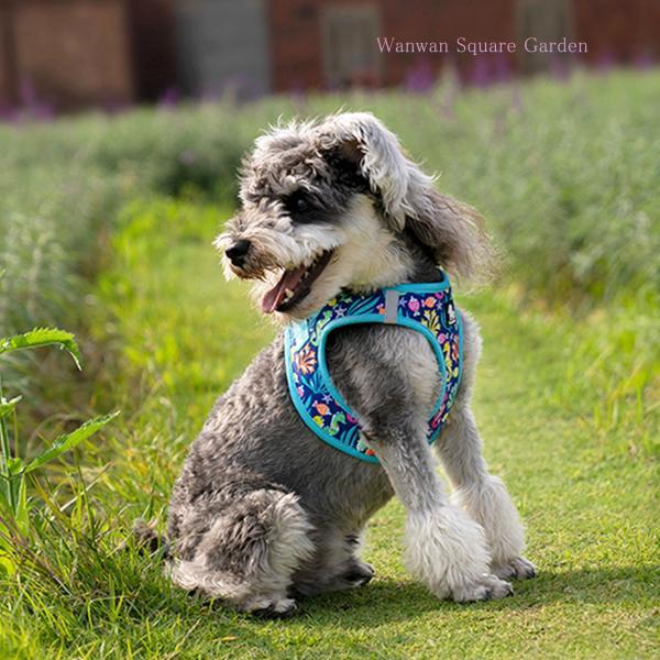 犬 ハーネス 猫 小型犬 中型犬 胴輪 Truelove ブランド メッシュ 犬 ハーネス 猫 小型犬 中型犬 胴輪 Truelove ブランド メッシュ