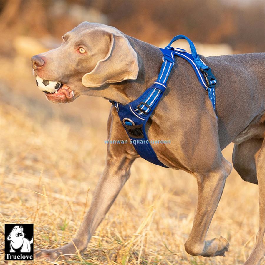 犬 ハーネス Truelove ブランド 胴輪 ソフトパッド 簡単装着 犬 ハーネス Truelove ブランド 胴輪 ソフトパッド 簡単装着