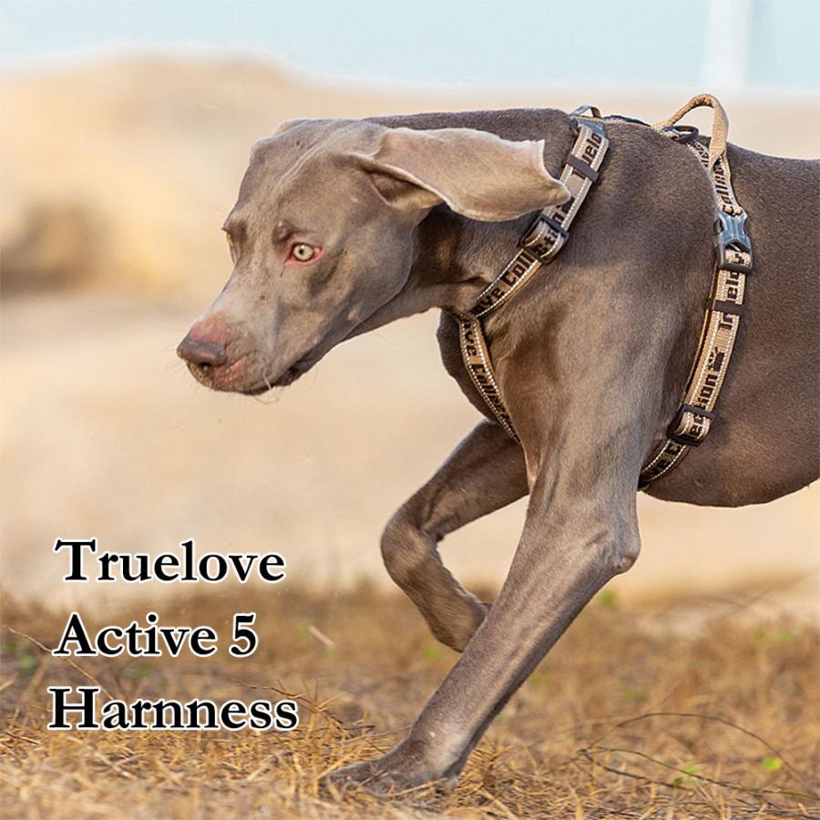 犬 ハーネス H型ハーネス Truelove ブランド ネオプレン 簡単 犬 ハーネス H型ハーネス Truelove ブランド ネオプレン 簡単