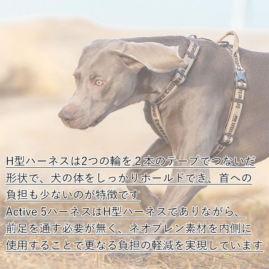 犬 ハーネス H型ハーネス Truelove ブランド ネオプレン 簡単 犬 ハーネス H型ハーネス Truelove ブランド ネオプレン 簡単