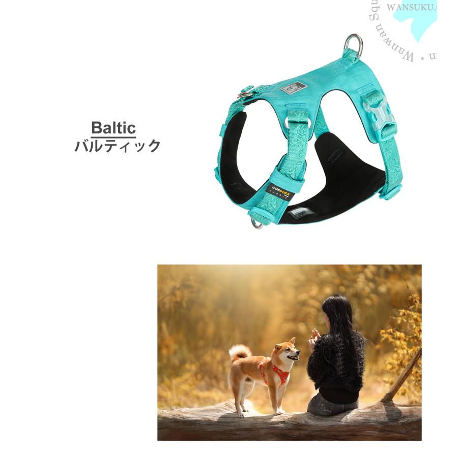 犬 ハーネス 抜けない 軽量 快適 丈夫 防水 Truelove ブランド 小型犬 中型犬 大型犬 コーデュラ セーフティハーネス ノンリフレクティブ 【反射無し】TLH6281の画像