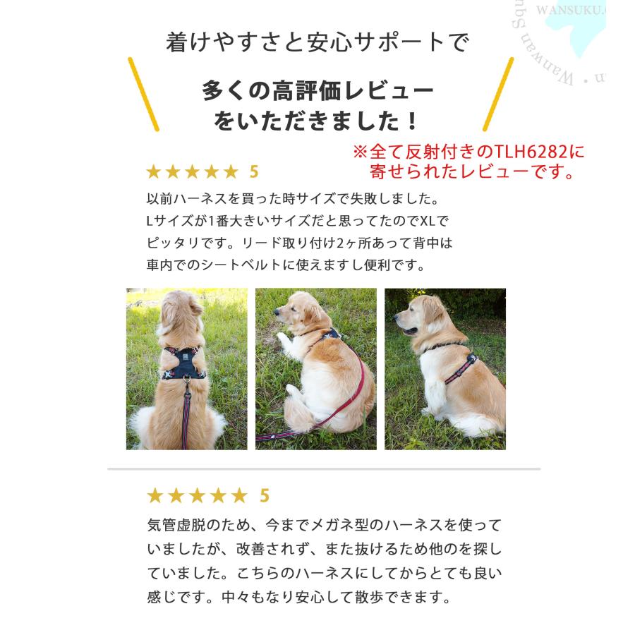 犬 ハーネス 抜けない 軽量 快適 丈夫 防水 Truelove ブランド 小型犬 中型犬 大型犬 コーデュラ セーフティハーネス ノンリフレクティブ 【反射無し】TLH6281の画像