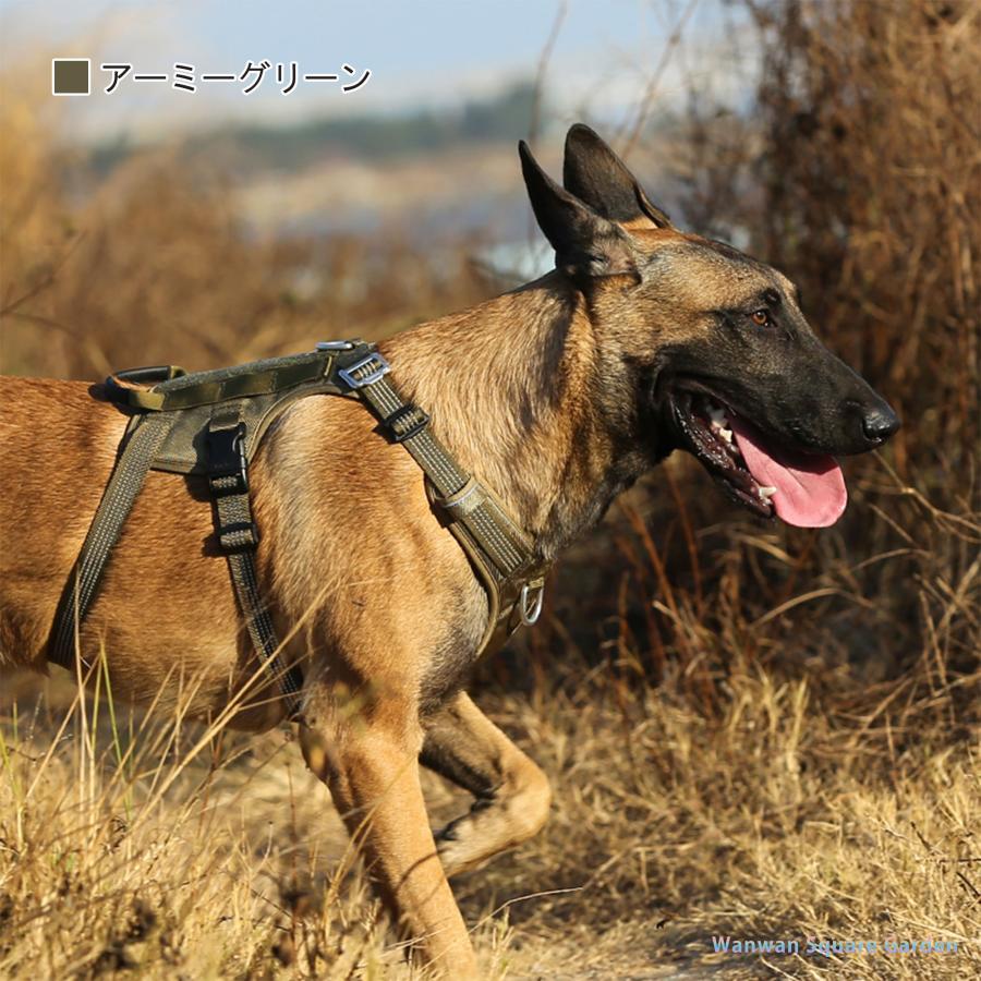 Truelove（トゥルーラブ） 犬 ハーネス 抜けにくい 名入れ 中型犬 大型
