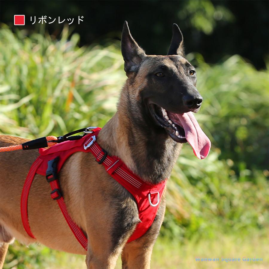 Truelove（トゥルーラブ） 犬 ハーネス 抜けにくい 名入れ 中型犬 大型