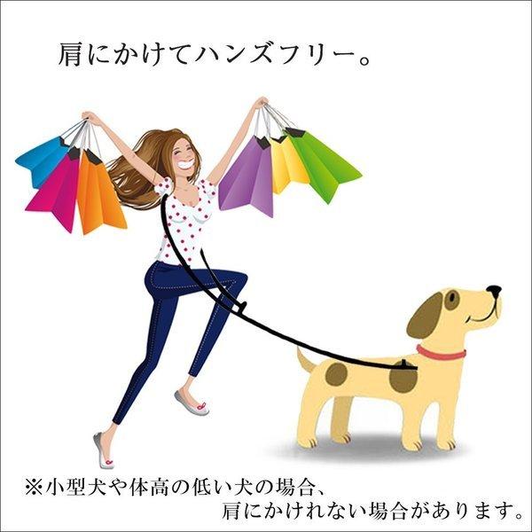 季節のおすすめ商品 PetSafe ナイロンリード 犬 調整簡単 耐久性が高い ソフト 軽い 大型 リード 幅2.5cm 長さ120cm レッド notimundo.com.ec 季節のおすすめ商品 PetSafe ナイロンリード 犬 調整簡単 耐久性が高い ソフト 軽い 大型 リード 幅2.5cm 長さ120cm レッド notimundo.com.ec