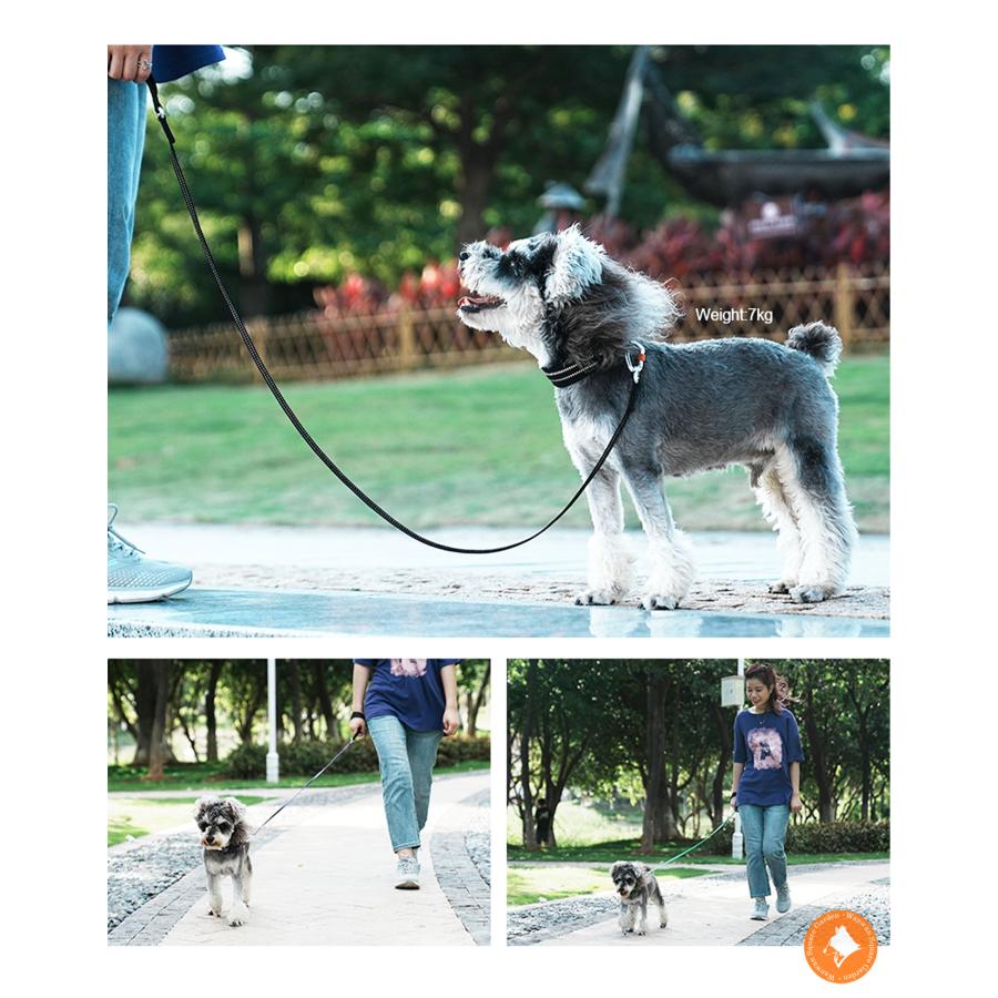 Truelove（トゥルーラブ） 犬 リード 小型犬 大型犬 軽量41g 丈夫 2面