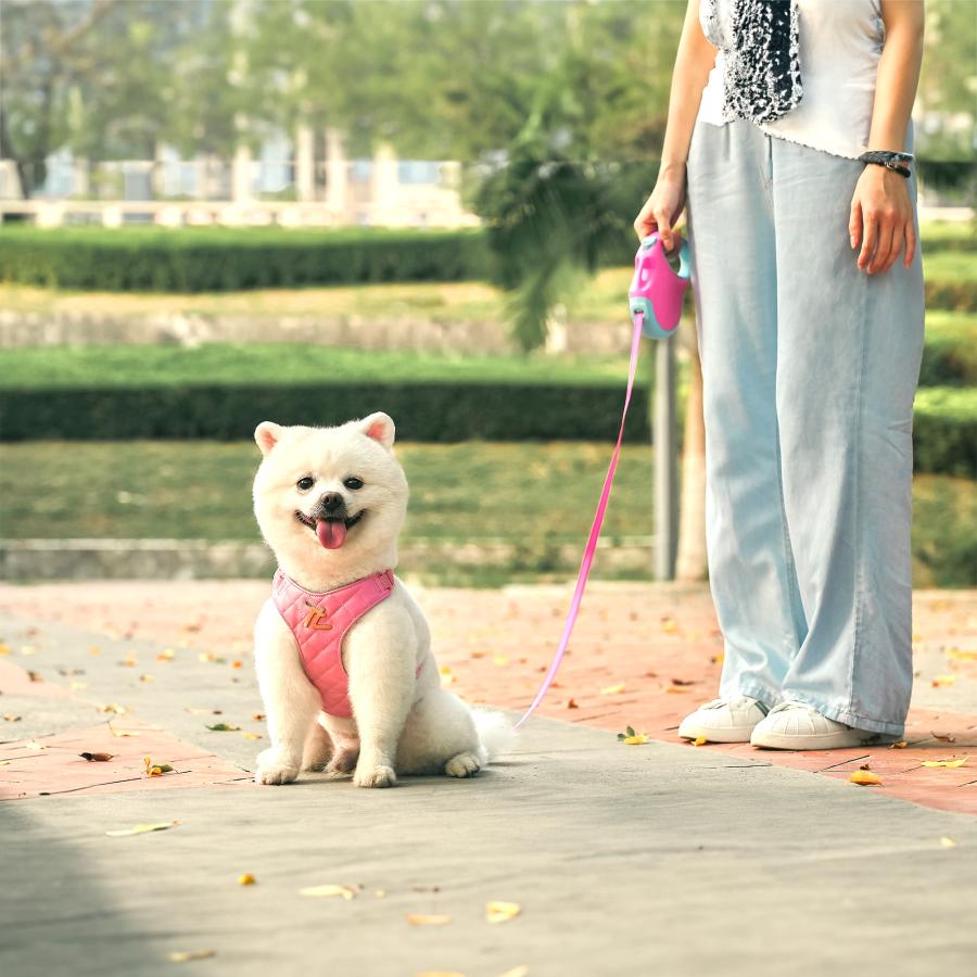 Truelove（トゥルーラブ） 犬 リード 小型犬 中型犬用 伸縮 ロック