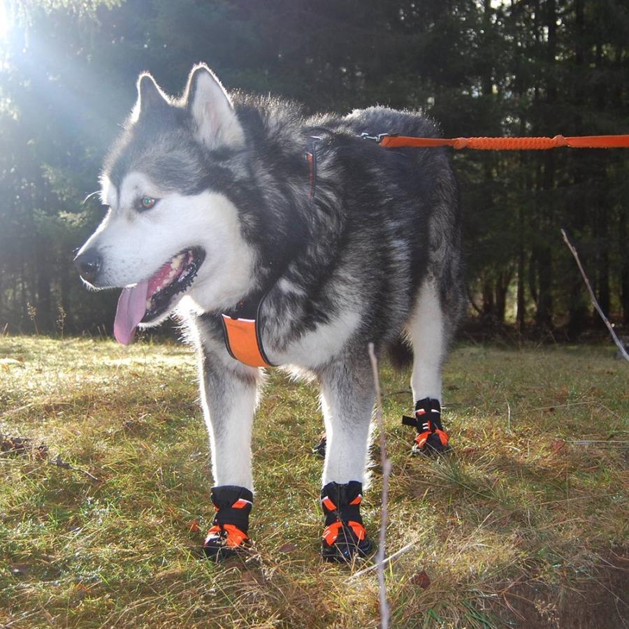 犬 靴 犬靴 犬の靴 プロテクション シューズ ソフト 保護 防水 スポーツ 介護 足 怪我 シニア ケア 小型犬 大型犬 メール便送料無料 2個セット Tls Pro わんわん Square Garden 通販 Yahoo ショッピング