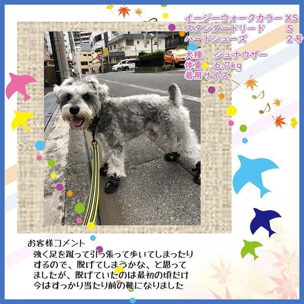 犬 靴 犬靴 犬の靴 ドッグシューズ シューズ ハード Truelove 犬 靴 犬靴 犬の靴 ドッグシューズ シューズ ハード Truelove