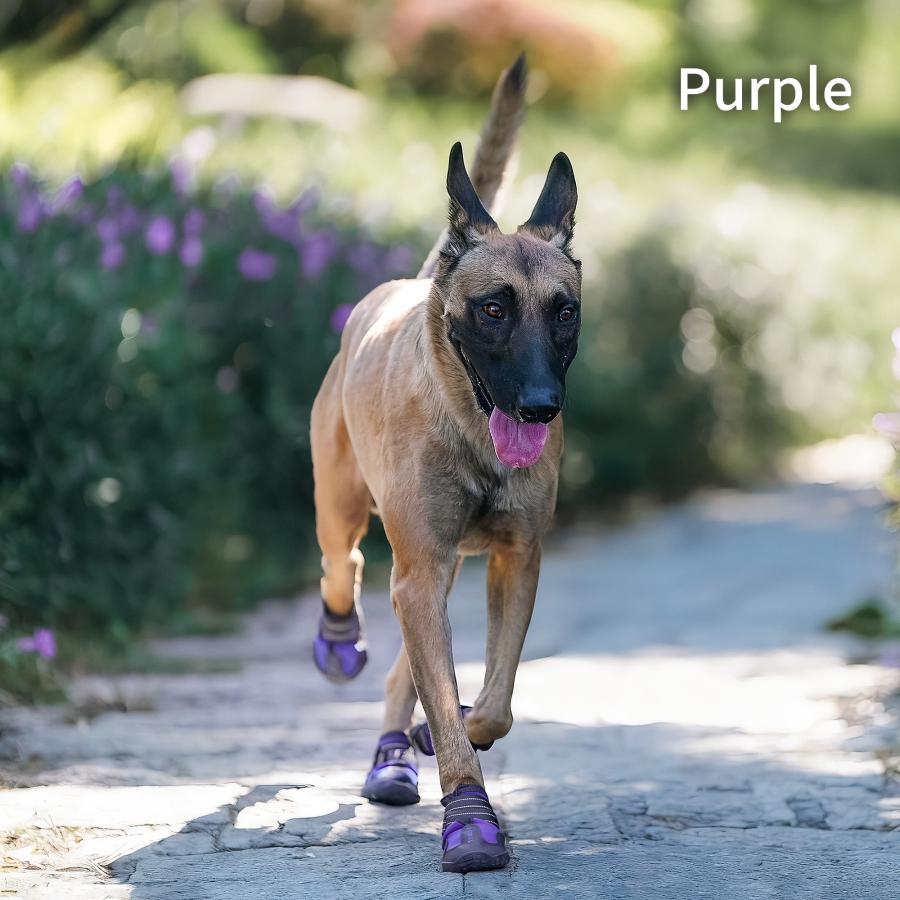 Truelove（トゥルーラブ） 犬 靴 犬靴 犬の靴 ドッグシューズ シューズ