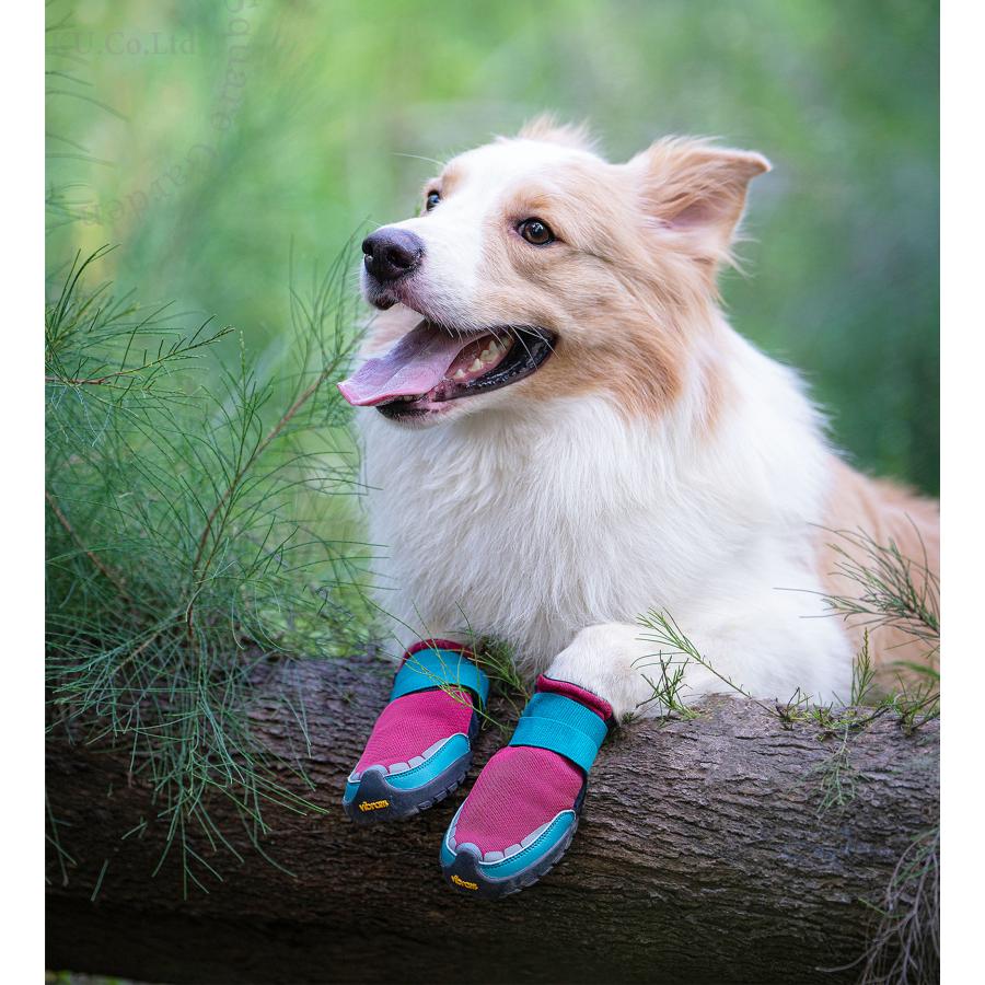 Truelove（トゥルーラブ） 【30％OFF】犬 靴 Vibram 軽量 柔らかい