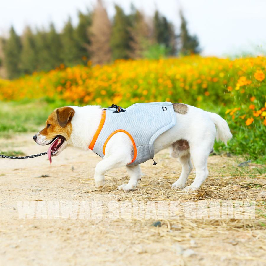 最大70 オフ 犬 熱中症対策 クールウェア クールベスト ハーネス 気化熱 冷却 涼しい 犬服 高品質 小型犬 中型犬 大型犬 Discoversvg Com