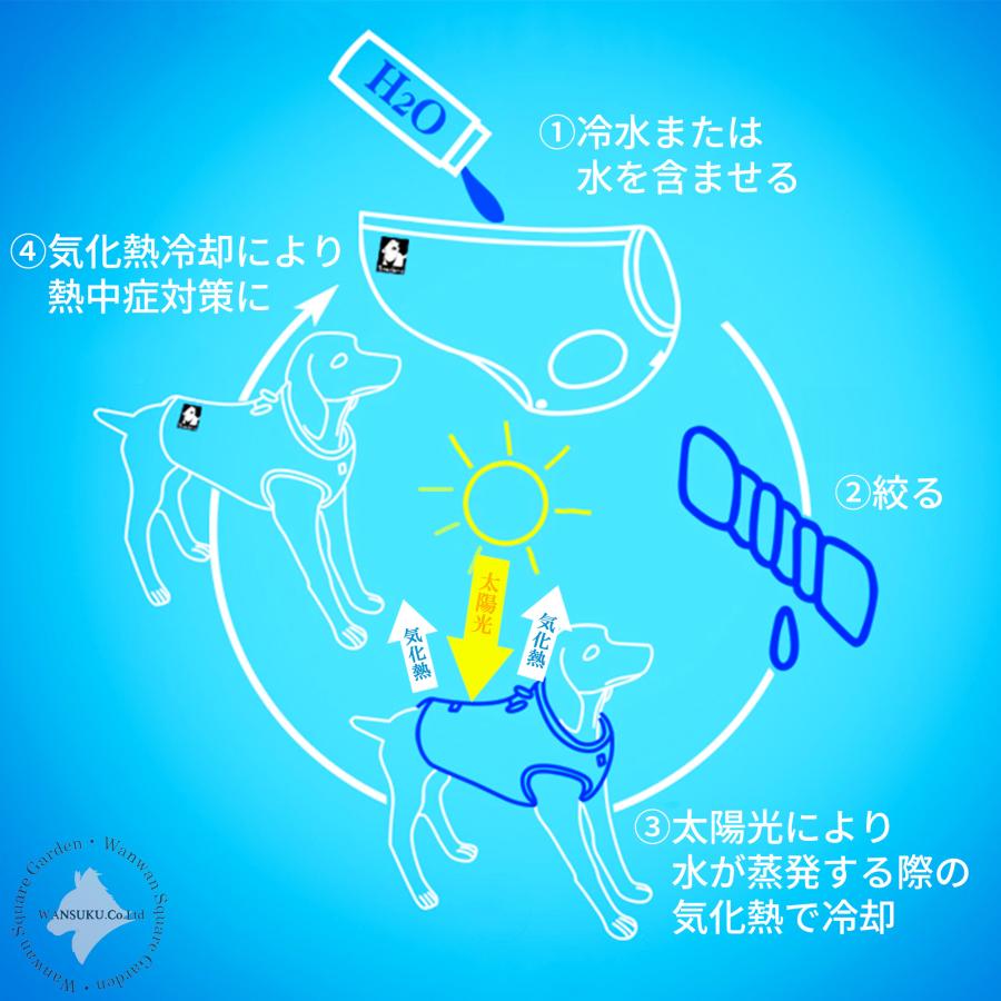 Truelove（トゥルーラブ） 犬 熱中症対策 クールベスト ハ ーネス 気化