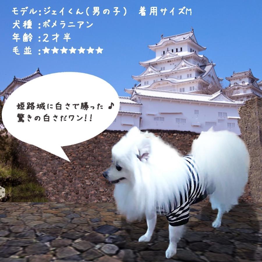 犬 服 ボーダー Tシャツ春 夏 秋 小型犬 中型犬 コーギー チワワ トイプードル ダックス フレブル 柴犬 パグ かわいい 犬の服 ストライプ ブラック Wtp 01 わんわん Square Garden 通販 Yahoo ショッピング