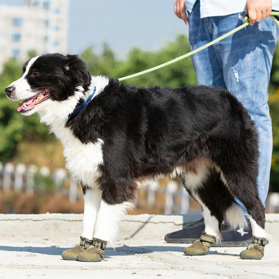 犬 靴 犬靴 ドッグシューズ ブランド メッシュ シューズ ソフト 夏 保護 スポーツ 介護 足 怪我 シニア ケア 小型犬 大型犬 快適メッシュシューズ 4個セット｜wanwan-square-garden｜02