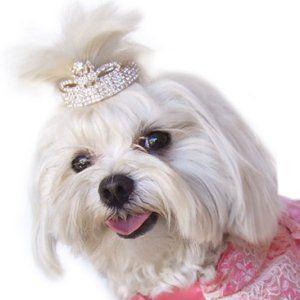 犬のヘアーアクセサリー Flower Tiara ティアラ ペットアクセサリー ラインストーン 犬グッズ 犬用品 H05 犬洋服のお店わんわんくろざぁーず 通販 Yahoo ショッピング