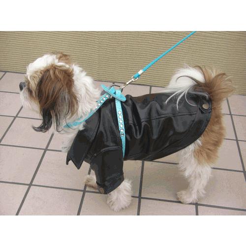 犬のハーネス【Twinkle harness turquoise】｜wanwan3dogs｜03