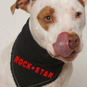 犬のバンダナ【Rock star】ドッグバンダナ/犬用バンダナ/犬グッズ/犬用品｜wanwan3dogs