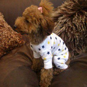 犬のパジャマ Yellow Stars 犬用パジャマ カバーオール ペットのパジャマ 犬服 犬の洋服 Pp011 犬洋服のお店わんわんくろざぁーず 通販 Yahoo ショッピング