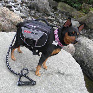 犬用アウトドアリュック【Summit Backpack】Ｍサイズ/犬のアウトドア用品/犬用アウトドアバッグ/犬用品/犬のリュック｜wanwan3dogs