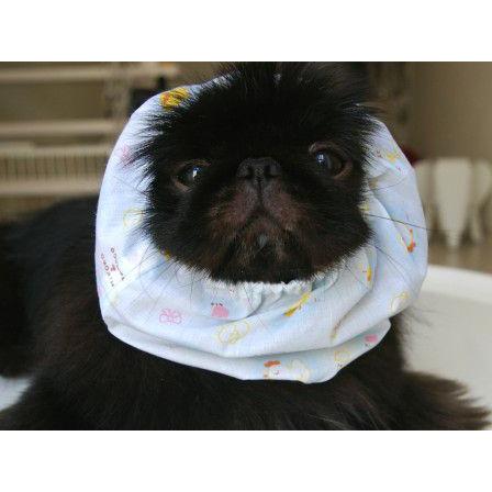 毛が長い子やタレ耳の子のお食事用品 犬のスヌード ヒヨコ ペットスヌード 犬用品 犬グッズ Sd025 犬洋服のお店わんわんくろざぁーず 通販 Yahoo ショッピング