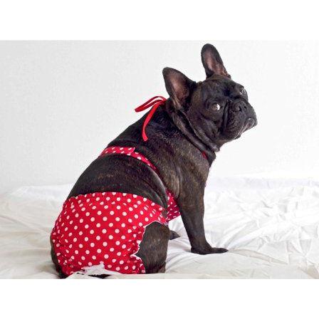 Puppine掲載 犬のビキニトップ パンツセット Red Polka Dot 犬 水着 ペット用水着 夏 Sm005 犬洋服のお店わんわんくろざぁーず 通販 Yahoo ショッピング