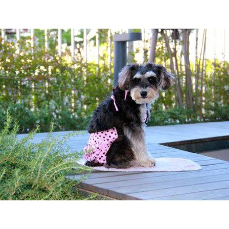 犬のビキニトップ パンツセット Pink Polka Dot 犬 水着 夏のお目立ちグッズ ペット用水着 アウトドア用品 犬服 犬の洋服 夏 Sm018 犬洋服のお店わんわんくろざぁーず 通販 Yahoo ショッピング