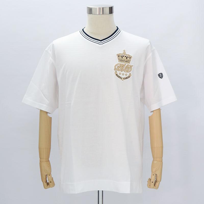BARNI VARNO バーニヴァーノ　襟付き　Tシャツ L ストライプ　青　白 BARNI VARNO バーニヴァーノ 襟付き Tシャツ L ストライプ 青 白