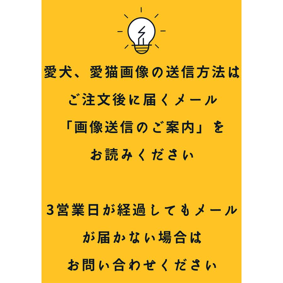 Web限定 犬用ケーキ 愛犬モチーフ バースデー 6号3名様 今月限定 特別大特価 Www Muslimaidusa Org