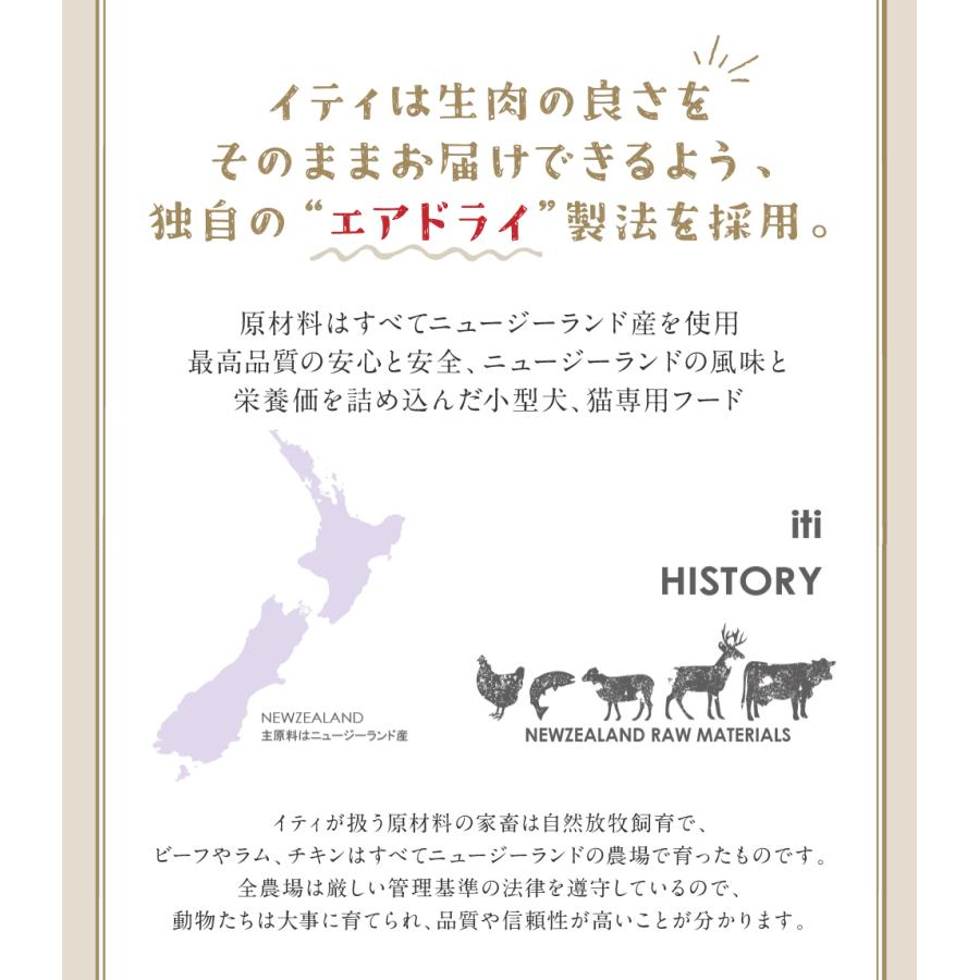 【６袋セット】イティ　トリーツ　100g×６袋【24時間以内スピード発送】 イティ（iti） イティドッグトリーツ 100g ラムジャーキ− 肝機能ケア