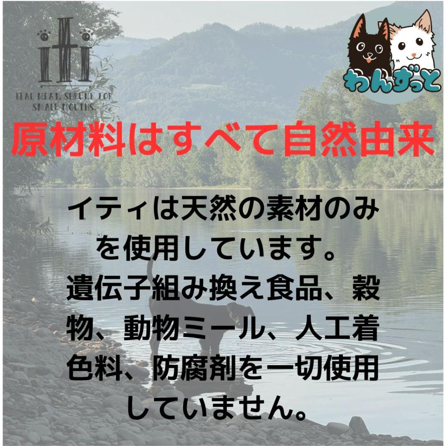 イティ（iti） イティドッグトリーツ 100g ラムジャーキ− 肝機能ケア