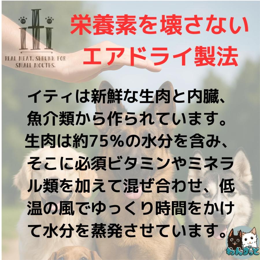 イティ（iti） イティドッグトリーツ 100g ラムジャーキ− 肝機能ケア