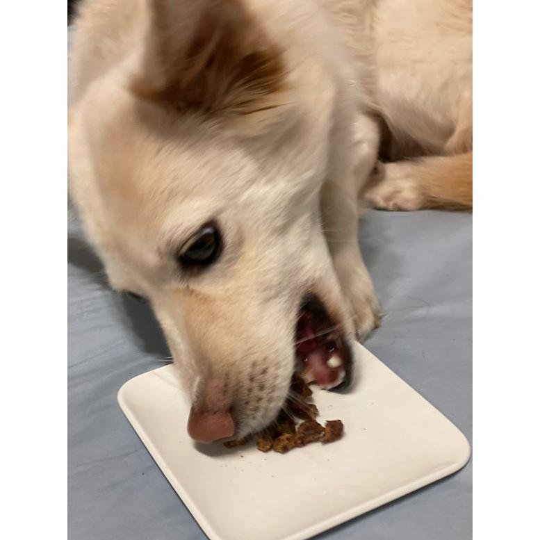 犬のおやつ iti イティトリーツ凝縮カットチキン口腔ケア100g 送料無料|wanzuttopetto|05