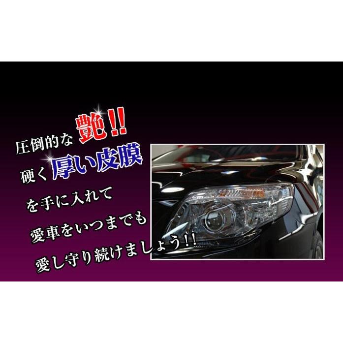 ハイ ガラスコート Thpプロ コーティング 車 洗車用品 ケミカル用品 洗車 ガラスコーティング剤 フロントガラス ガラス 樹脂 クロス Waoショップ 通販 Yahoo ショッピング