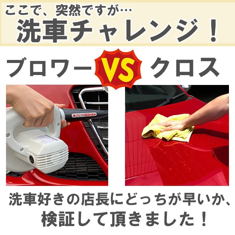 820708 洗車 ブロワー 洗車用品 550W | 洗車グッズ 送風 送風機 吸塵