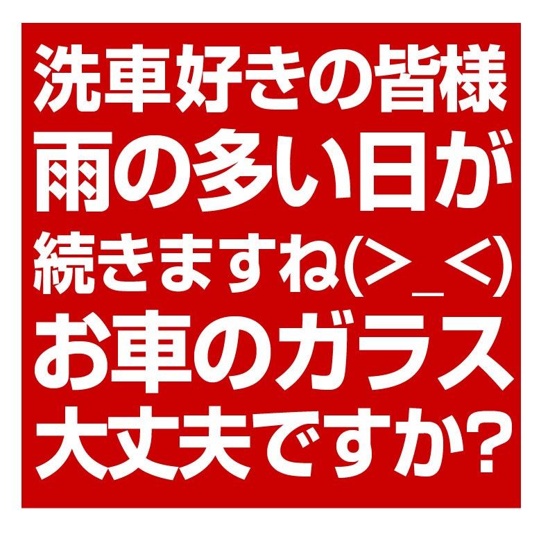 クリンビュー ガラスコート 塗り フロントガラス 水はじき 長時間 油膜 虫 鳥のフン 雪 霜 表面保護 撥水コーティング 撥水 Wao 通販 Yahoo ショッピング