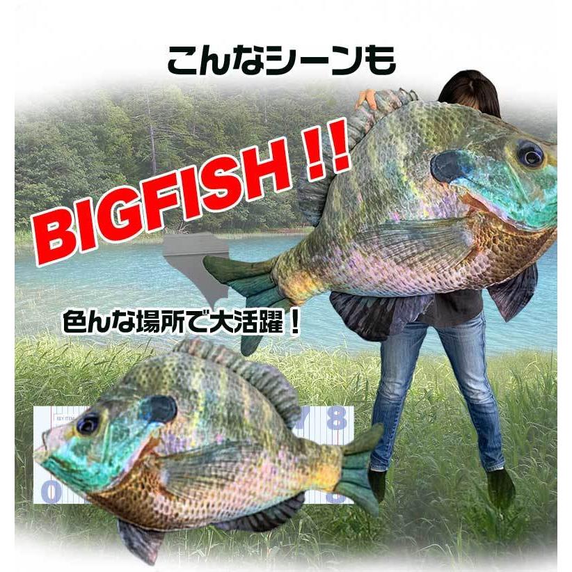 TT-12 60KUN 100cm ブルーギルクッション クッション ラッピング