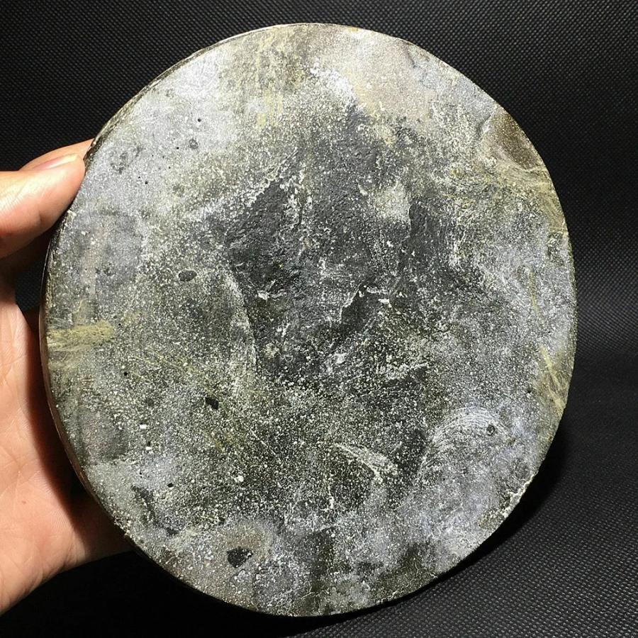 天然アンモナイト アンモライト 化石 標本 マダガスカル