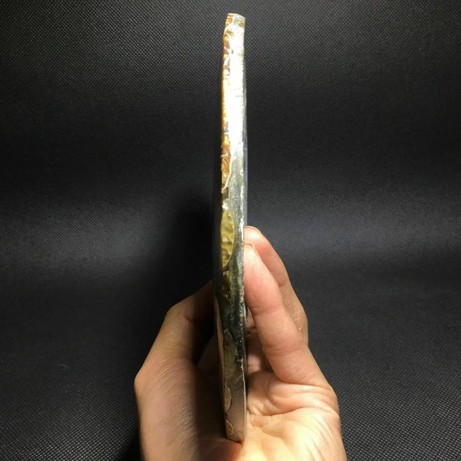 天然アンモナイト アンモライト 化石 標本 マダガスカル ディスク 円盤