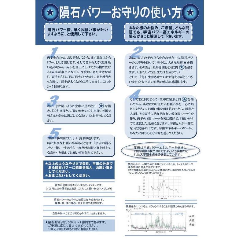 希少 ギベオン隕石 ギベオン 隕石 粉 ペンダント 宇宙村 宇宙シール