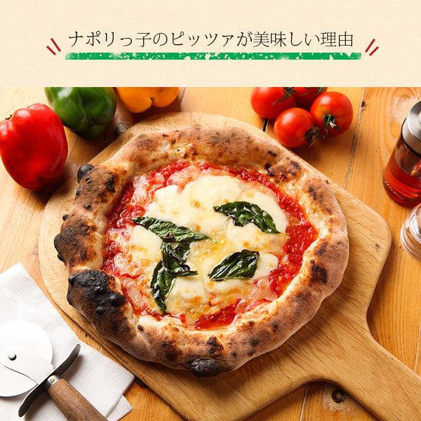 Pizza　即キャンプ7点セット TSBBQ 25年夏新商品！ ピザ窯 アウトドア キャンプ オーブン BBQ 家庭