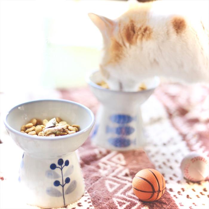 砥部焼 ペット用フードボウル 小 藍実 猫 猫用 食器 陶器 犬 犬用 餌
